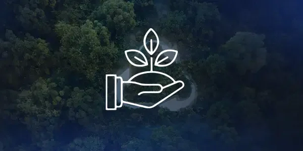 რა უსიამოვნებებს აგვარიდებს ბიოგამწმენდი დანადგარი